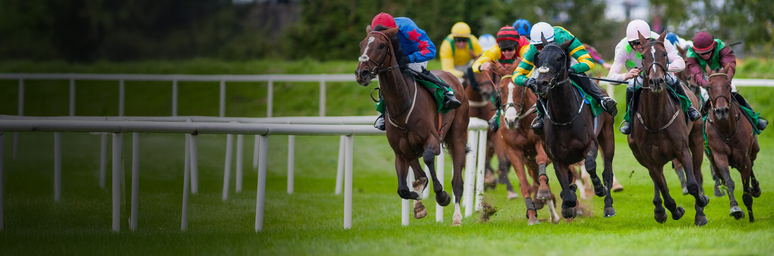 BLOODSTOCK RACING